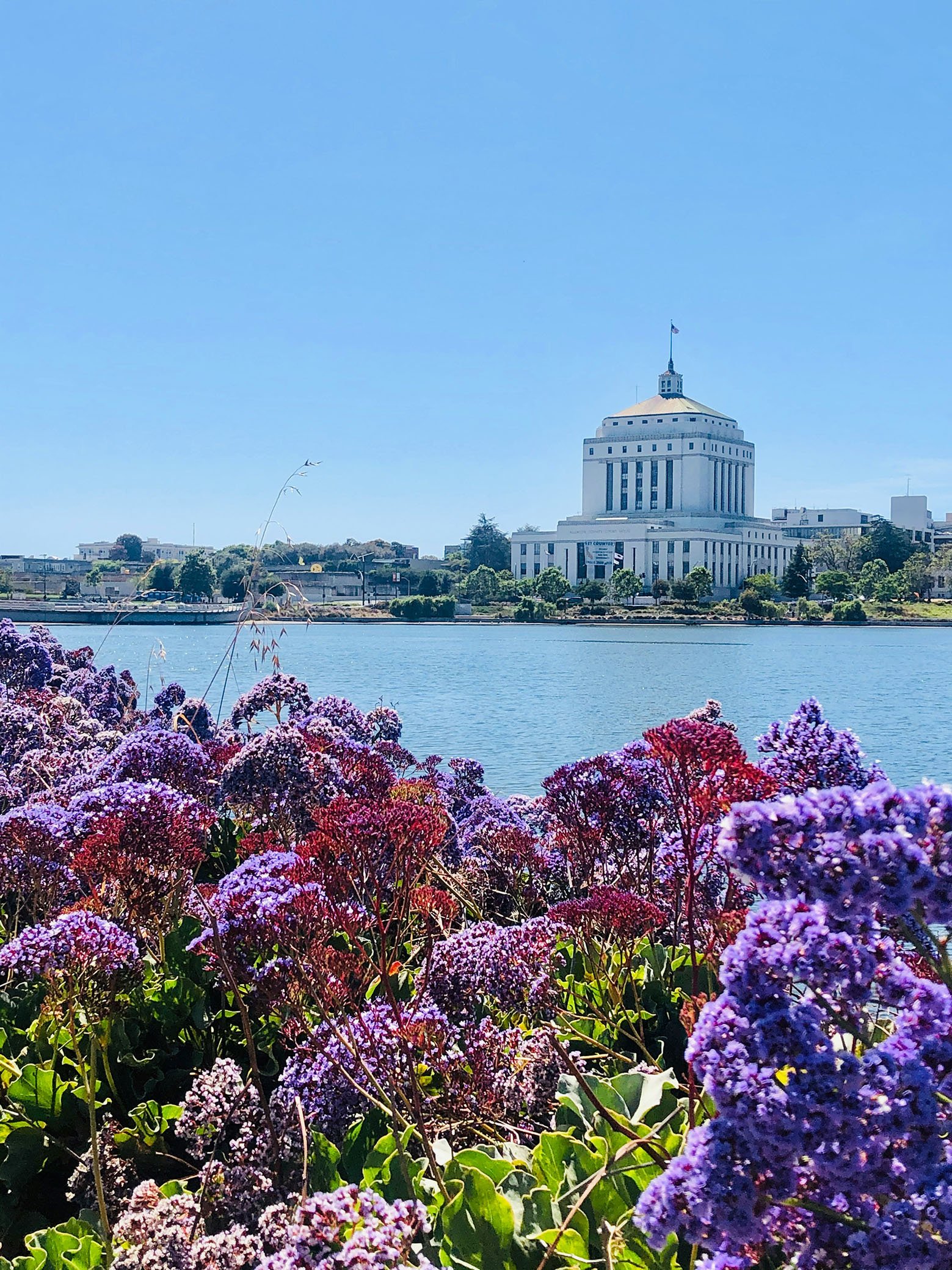 lake-merritt-oakland